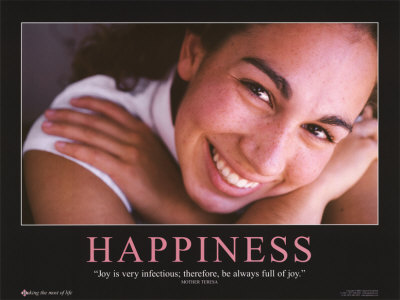 http://nooneisreadingthis.files.wordpress.com/2008/07/03-ps15-4happiness-posters1.jpg